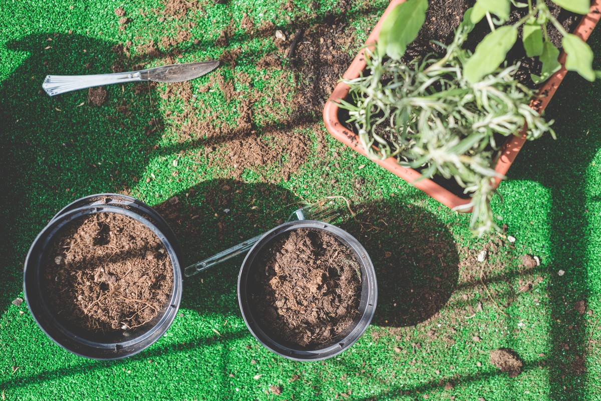 Gardening in B.C. - Amending Clay Soil